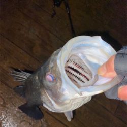 あたりはチラホラ、しかし連発せず