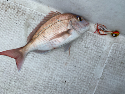 壱岐沖でタイラバ