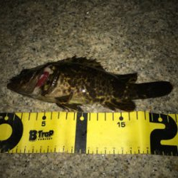 雨に降られて強制終了