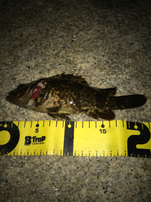 雨に降られて強制終了