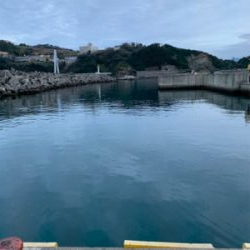 尺アジ！？！？