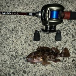 メバリングのはずが