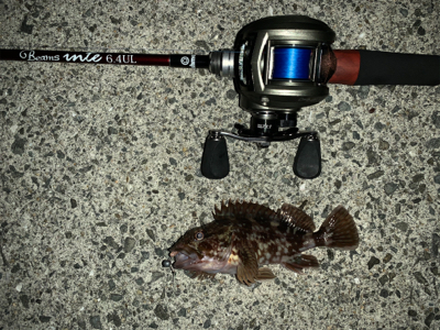 メバリングのはずが