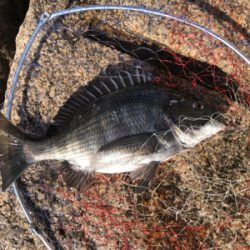 やっと釣れました!