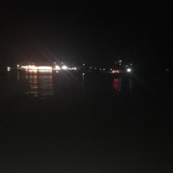 アジがよく釣れました!