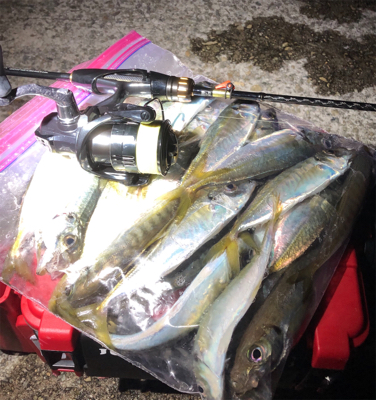 やってきました淡路島☆GUNNING-ST…