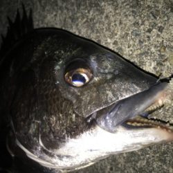 2020ライトゲーム第10戦