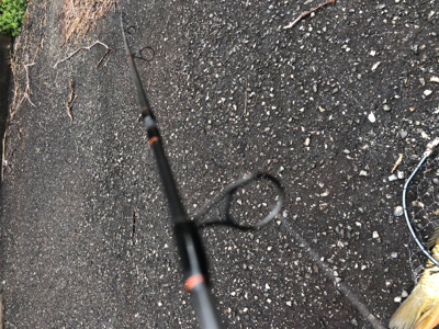 海は寒いし釣れないし、管釣りは閉鎖、なので近場でカープフィッシング