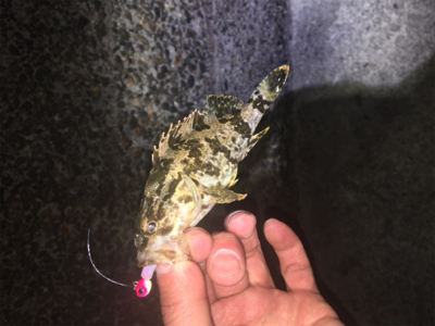 西浦なんだけど選択できませ〜ん