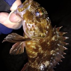 ナイトメバリング