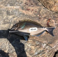 ヘタクソ釣行記 2