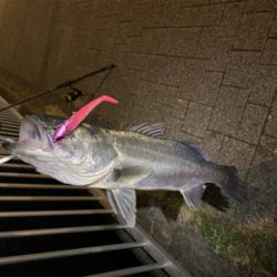 朝(夜中)1、夕方(夜)2