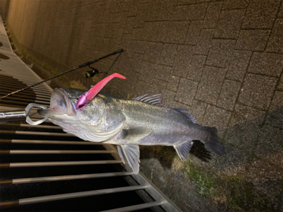 朝(夜中)1、夕方(夜)2