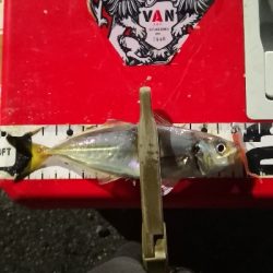 アジング 練習 125