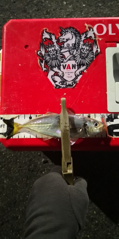 アジング 練習 125