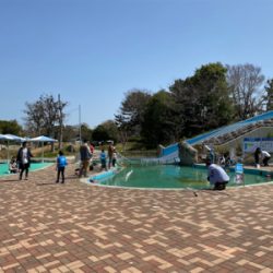 服部緑地再会 ルアーは初心者には地獄ですよ。