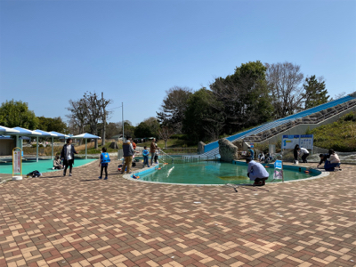 服部緑地再会 ルアーは初心者には地獄ですよ。