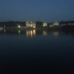 アジがいっぱい！