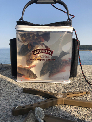 シラサエビの胴付き探り釣り