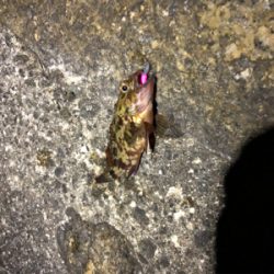 フロートゲーム