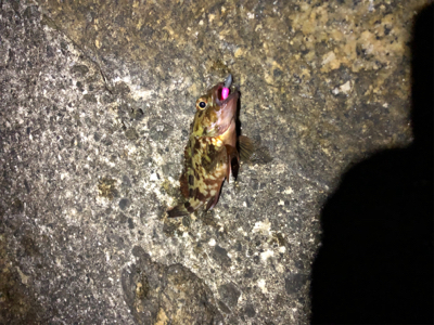 フロートゲーム