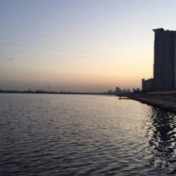 淀川ブリームゲーム