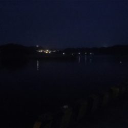 海は私の魚市場!