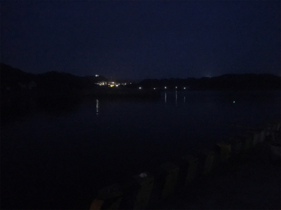 海は私の魚市場!