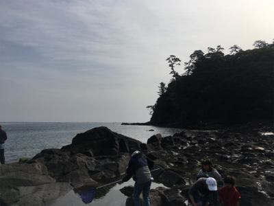 追い風から向かい風へ