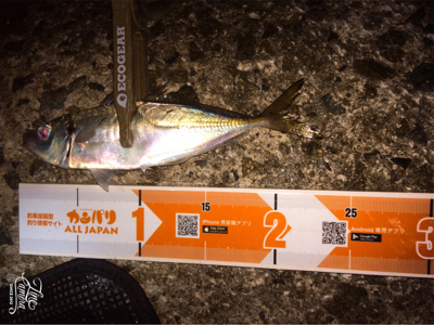 アジングまぁまぁ調子