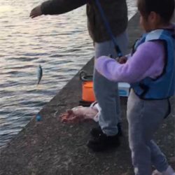 ファミリーフィッシング