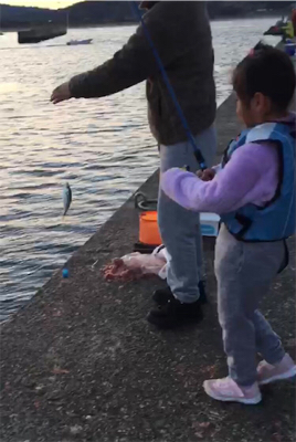 ファミリーフィッシング