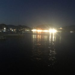 今日も周りばいっぱいアジが釣れてました!