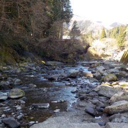 葛川アマゴ釣行