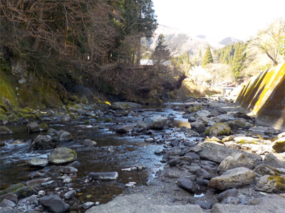 葛川アマゴ釣行
