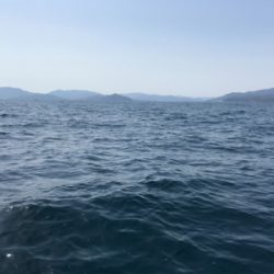 マイボートでタイラバ、ジギング釣行