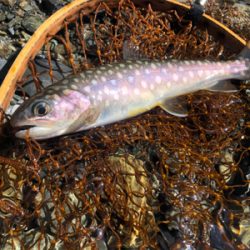 新規開拓の続き