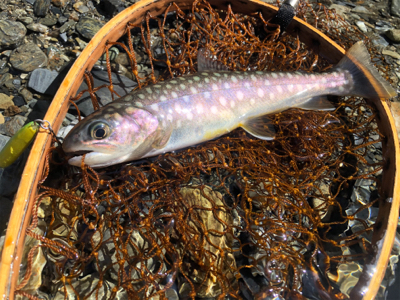 新規開拓の続き