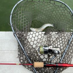 服部緑地　貸し切り状態