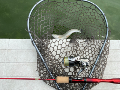 服部緑地　貸し切り状態