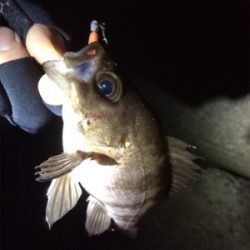 何だかんだライトゲーム楽しいです