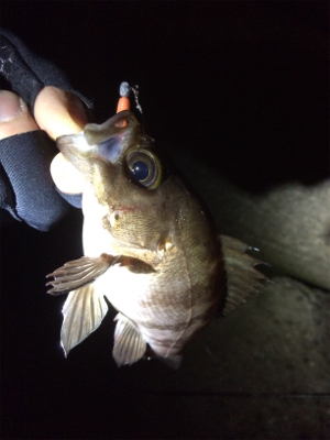 何だかんだライトゲーム楽しいです