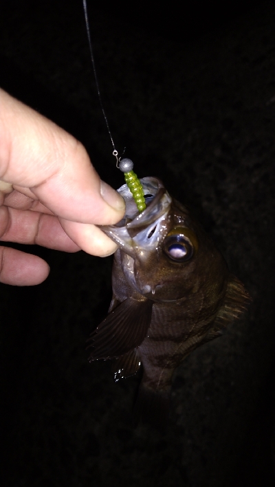 ナイトメバリング