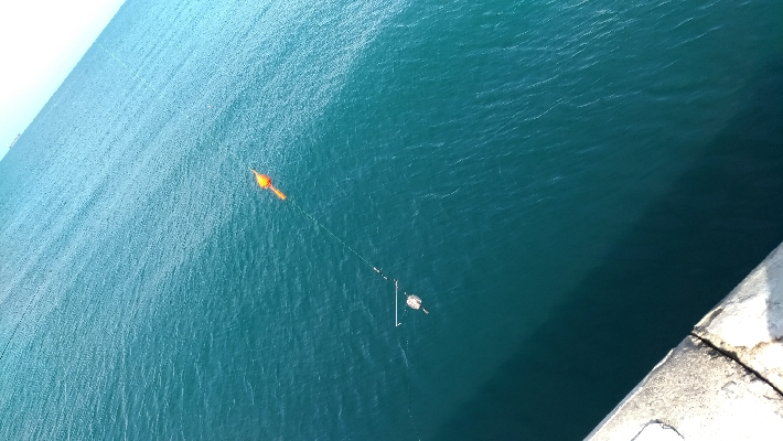 3/7釣果マダイチヌデカアジ尺アジ