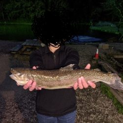 ジョイバレーでロックトラウト