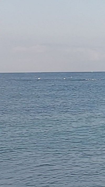 マイクロベイト対応できず。