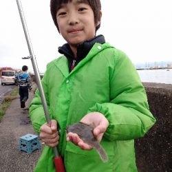 雨上がり狙いでカレイ釣り