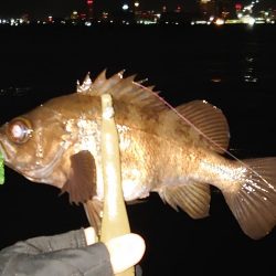 神戸ボートメバリングにて