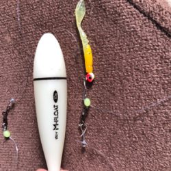 明石メバリング