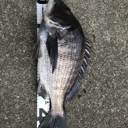 イチノ兄弟、釣果!